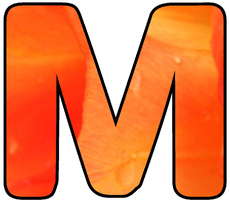 Deko-Buchstaben-Tulpe_M.jpg